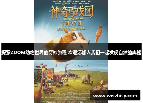 探索ZOOM动物世界的奇妙旅程 欢迎您加入我们一起发现自然的奥秘